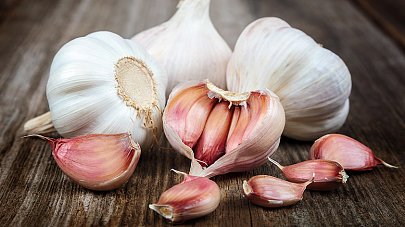Чеснок: польза и вред для организма