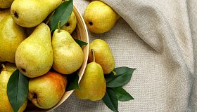 Груша: польза и вред для организма