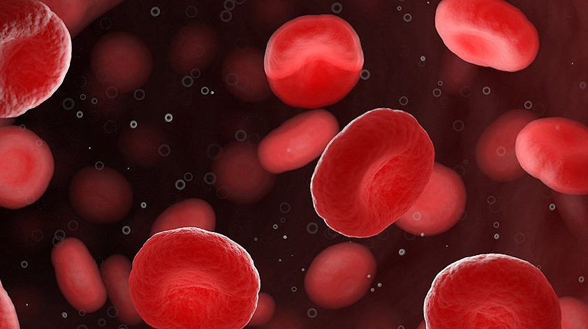 Эритроциты в крови - норма у ребенка, женщин, мужчин, причины повышенных, пониженных значений