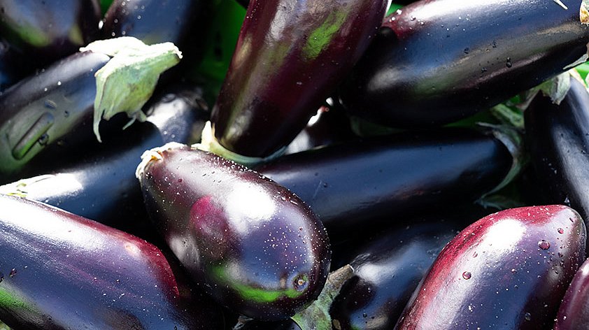 Баклажан: польза и вред для организма