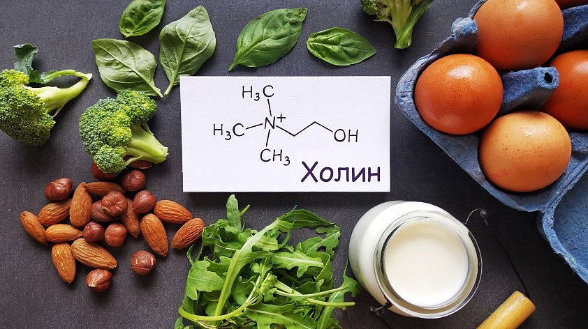 Холин (витамин B4)