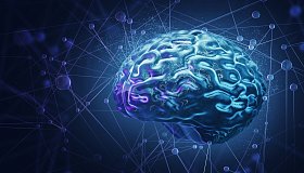 Аминокислоты и мозг