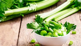 Сельдерей: польза и вред для организма
