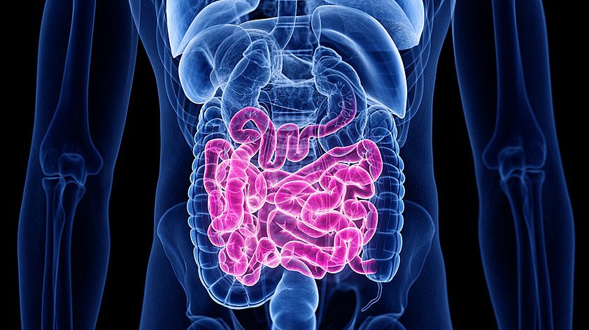 Современные методы диагностики кишечных кровотечений