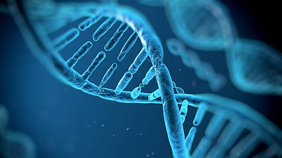 Генетические исследования эякулята при нарушениях сперматогенеза