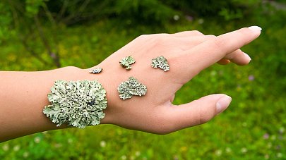 Красный плоский лишай