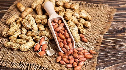 Арахис: польза и вред для организма