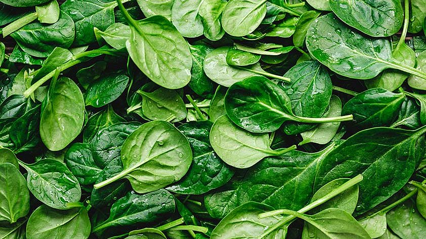 Шпинат: польза и вред для организма