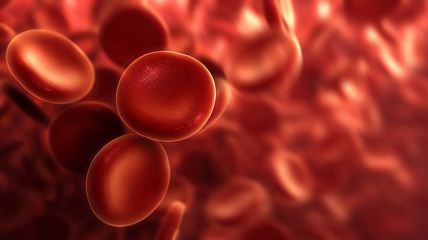 Красные кровяные тельца. Красные кровяные тельца на теле человека фото. Эритропения.