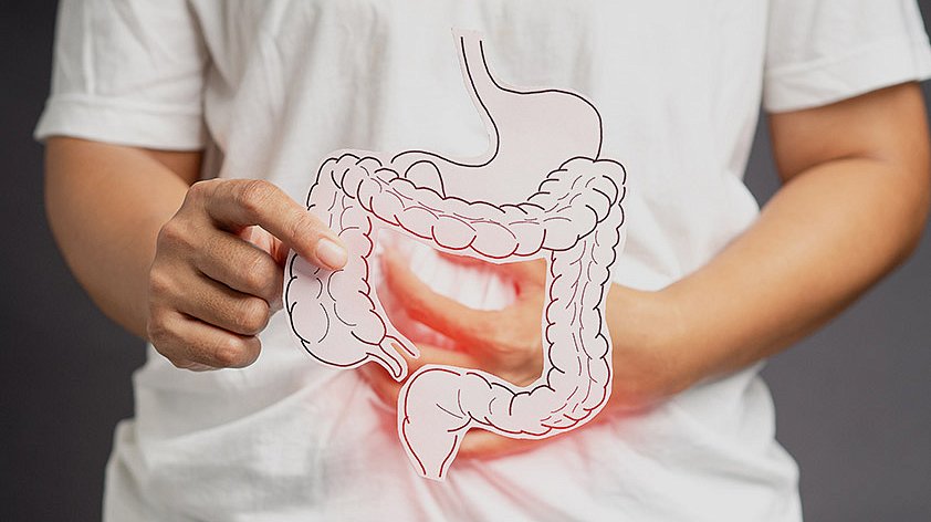 St evn V ed P iny P znaky A L ba St evn V ed P iny P znaky A L ba