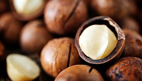 Орех макадамия: польза и вред для организма