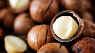 Орех макадамия: польза и вред для организма