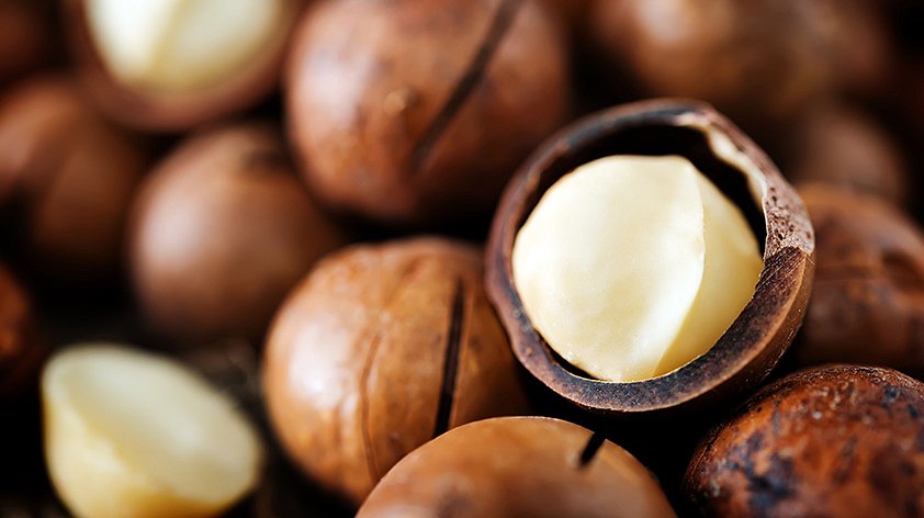 Орех макадамия: польза и вред для организма