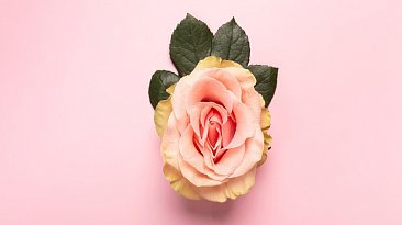 Склероатрофический лихен