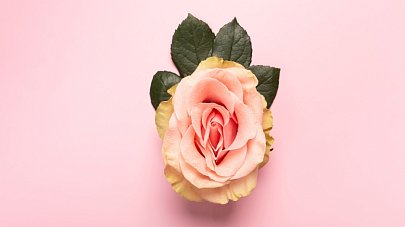 Склероатрофический лихен