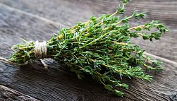 Чабрец: польза и вред для организма