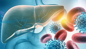 Выбор анализа на гепатит В