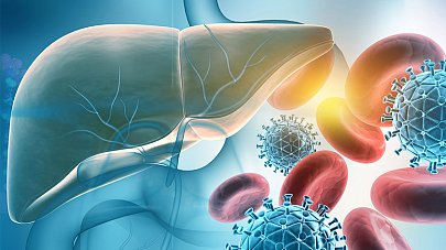 Выбор анализа на гепатит В