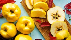 Айва: польза и вред для организма