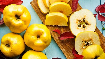 Айва: польза и вред для организма