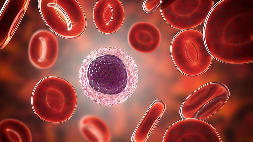 Лимфоциты понижены в крови - причины у женщин, детей и мужчин, о чем  говорит лимфопения