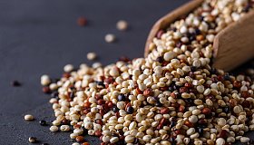 Киноа: польза и вред для организма