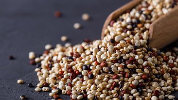 Киноа: польза и вред для организма