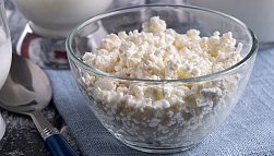 Творог: польза и вред для организма