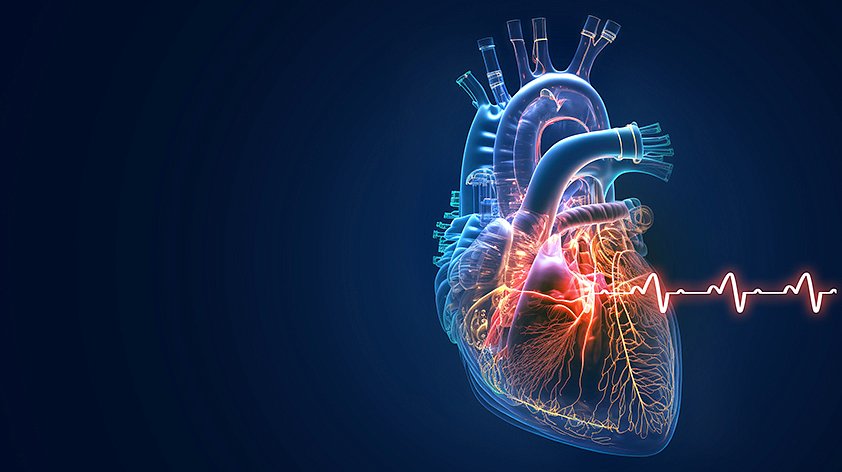 Почему болит сердце от нервов?