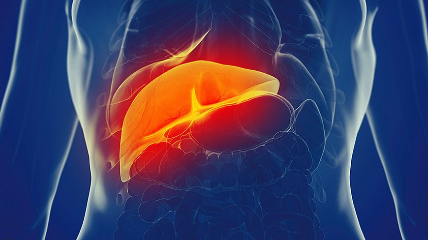 Что такое некроз ткани печени