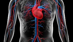 Болезни аорты