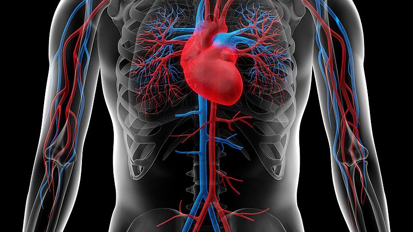 Болезни аорты