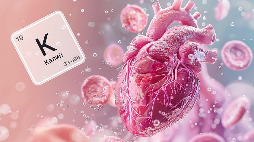 Калий в организме человека