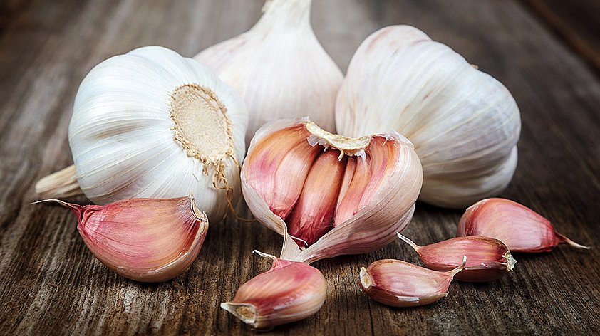 Чеснок: польза и вред для организма