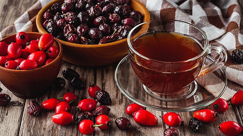 Шиповник: польза и вред для организма