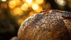 Можно ли беременным употреблять мак