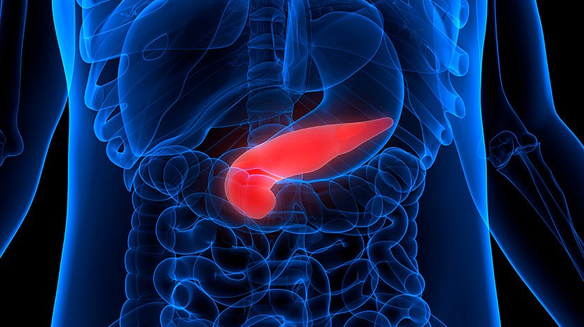 Поджелудочная железа