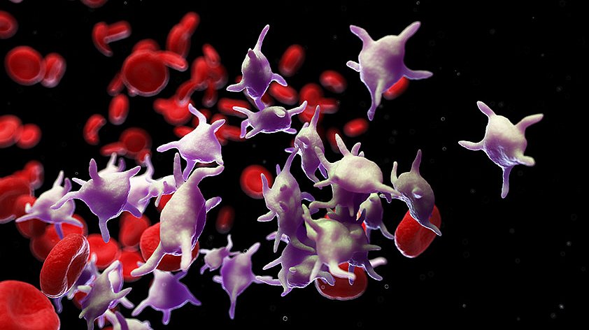 Что показывает анализ крови на тромбоциты?