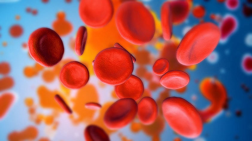 Непатологические выделения крови из половых путей