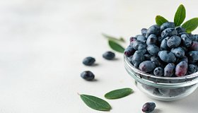 Можно ли беременным жимолость