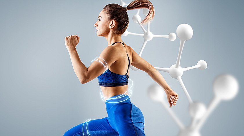 Обмен веществ